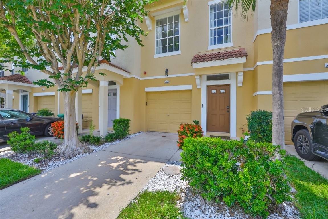 5623 GASPAR OAKS DRIVE Tampa FL