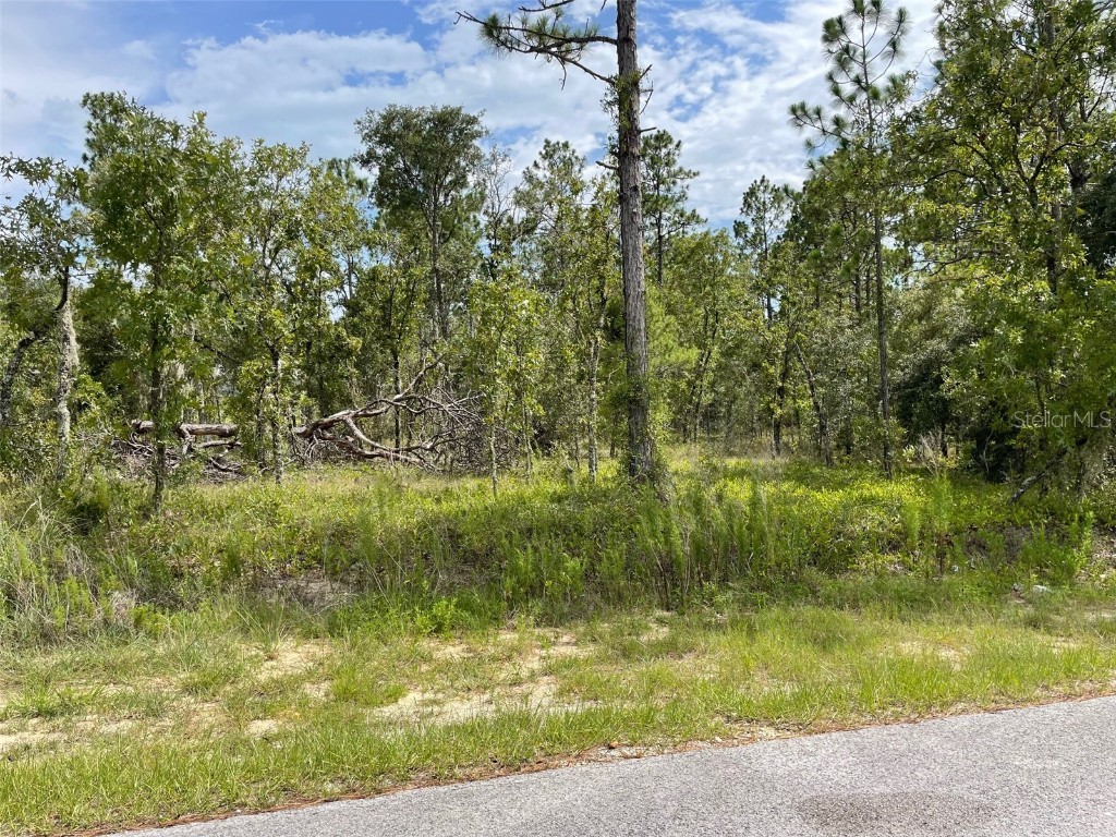 LOT 18 NW GERANIUM AVENUE Dunnellon FL