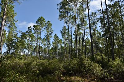 OFF SE 30TH ST. Inglis FL
