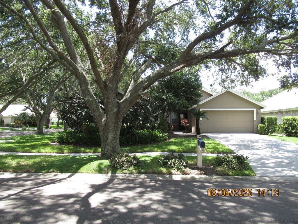 3002 BENT CREEK DRIVE Valrico FL
