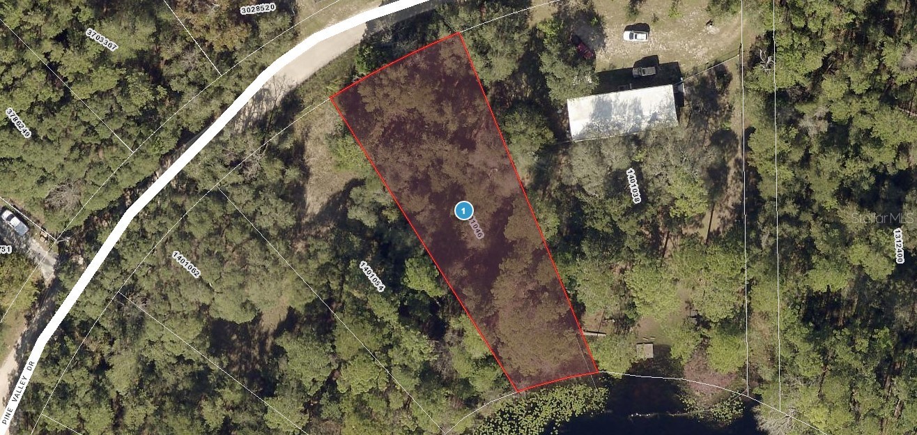 PINE VALLEY DRIVE Paisley FL