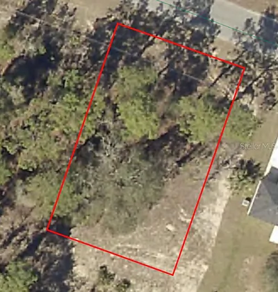 MALAUKA RADIAL Ocklawaha FL