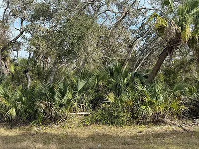 2102 DORION STREET Port Charlotte FL