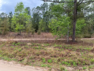 SW 152ND COURT Ocala FL