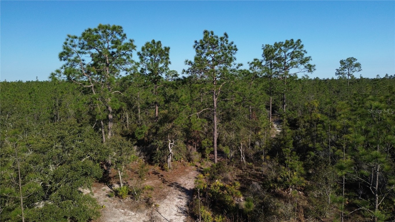 12500 NE 87TH PLACE Bronson FL