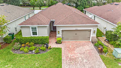 25325 WELSH POPPY WAY Land O Lakes FL