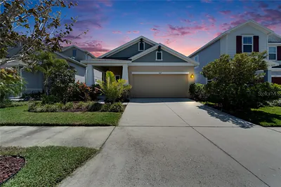 7417 SUNGOLD MEADOW COURT Apollo Beach FL