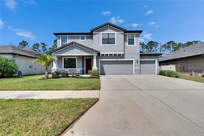 12134 CREEK PRESERVE DRIVE Riverview FL