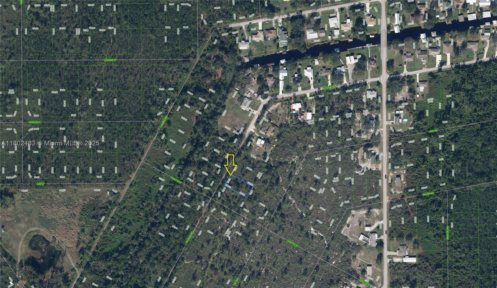 1503 lot 26 RUTLEDGE AVE Lake Placid FL