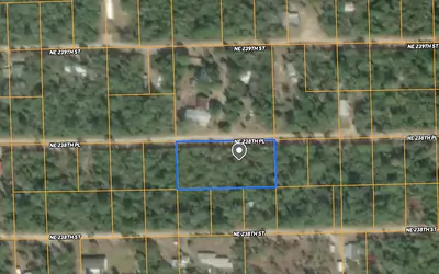 25 NE 238TH PLACE Fort Mc Coy FL