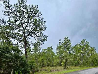 0 NW WATER OAK AVENUE Dunnellon FL