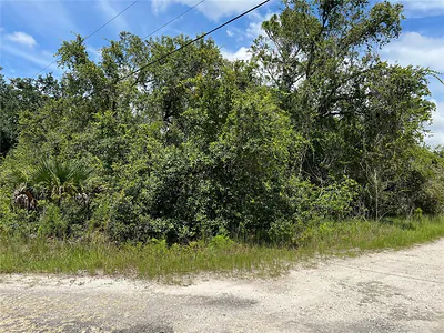 10232 FIELD STREET New Port Richey FL