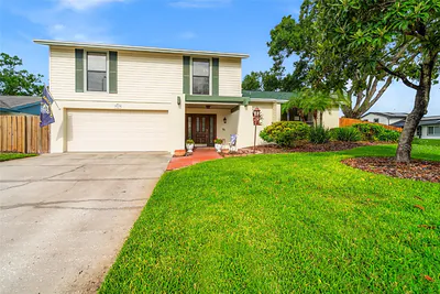 16228 FANTASIA DRIVE Tampa FL