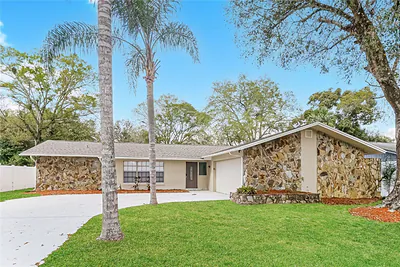 17604 MEADOWBRIDGE DRIVE Lutz FL