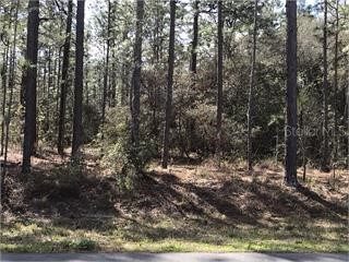 1933 CR 243C Wildwood FL