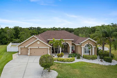 27740 WATER ASH DRIVE Wesley Chapel FL