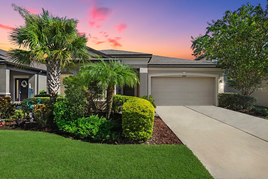 6489 DUTTON DRIVE Wesley Chapel FL