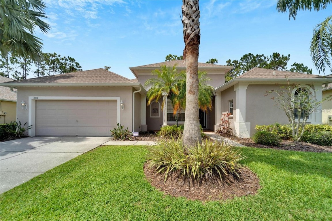 12516 LEATHERLEAF DRIVE Tampa FL