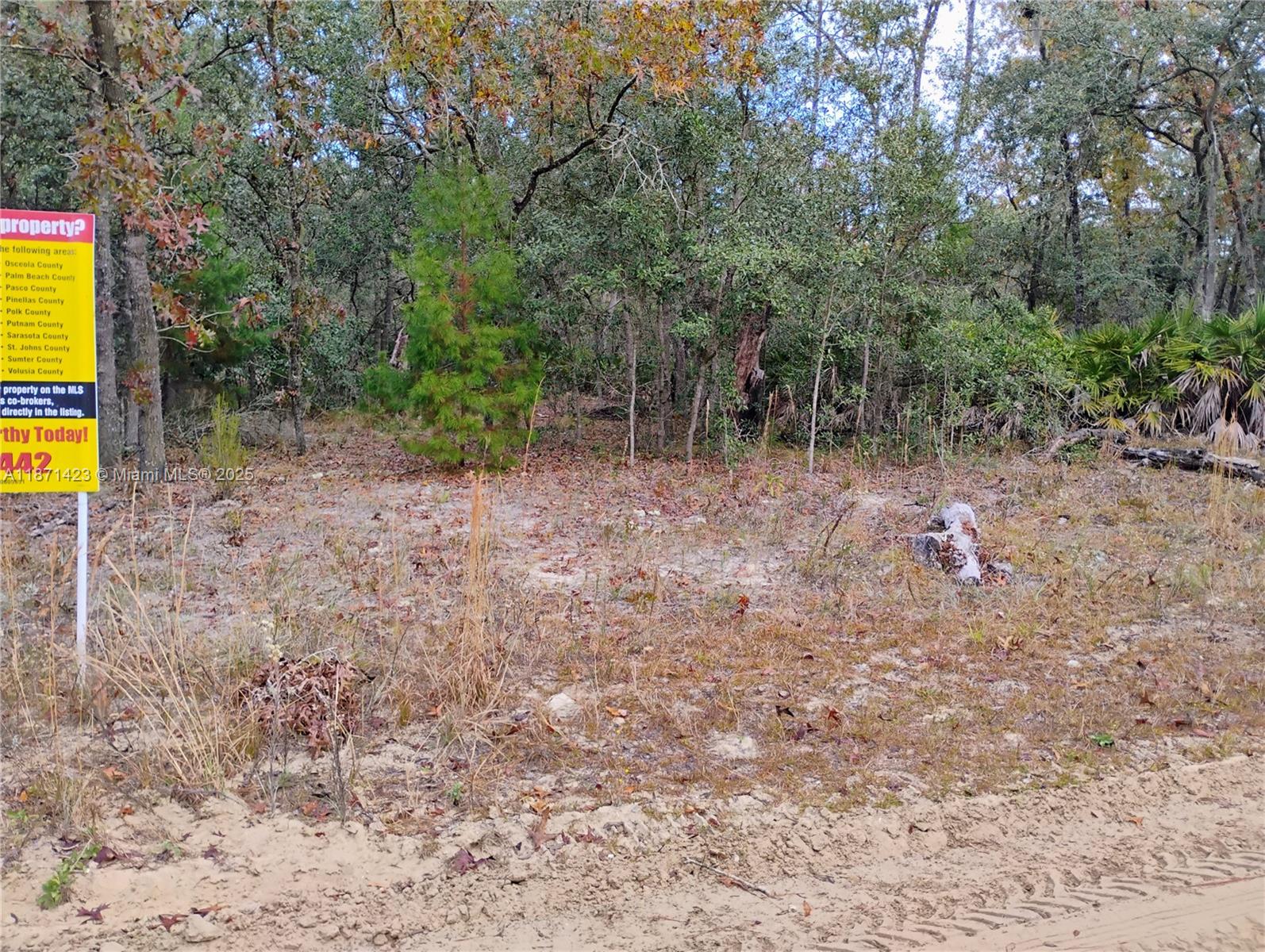 244 Thompson Palatka FL