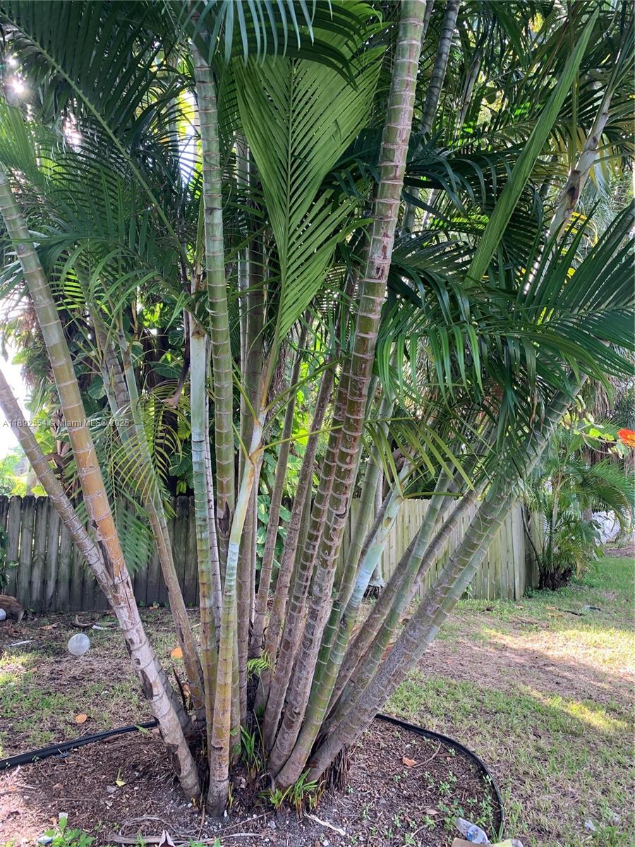 228 SE Park St 228 #228 Dania Beach FL