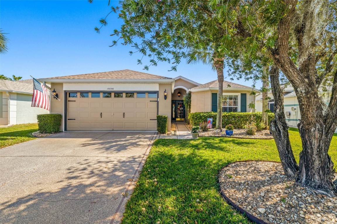 10836 COLLAR DRIVE San Antonio FL