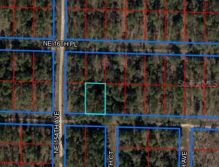 NE 15TH LANE Williston FL