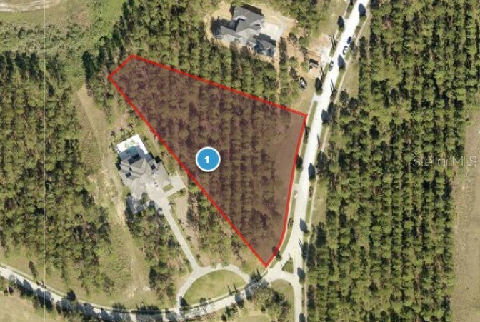 16216 PENDIO DRIVE Montverde FL