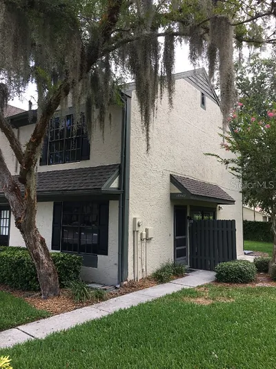 16549 BRIGADOON DRIVE Tampa FL