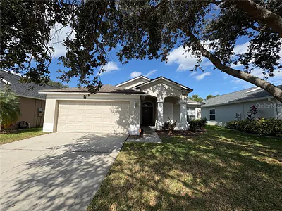 12412 CEDARFIELD DRIVE Riverview FL