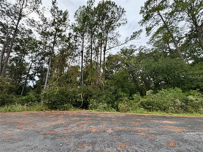 00 REDWOOD TRACK RUN Ocala FL