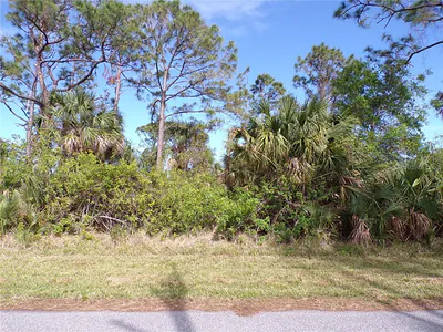 3142 CALLISTO STREET Port Charlotte FL