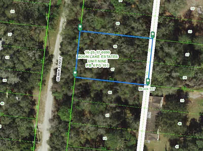000 GILMER STREET New Port Richey FL