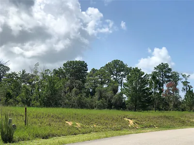 1005 HAWKS LANDING DRIVE Sebring FL