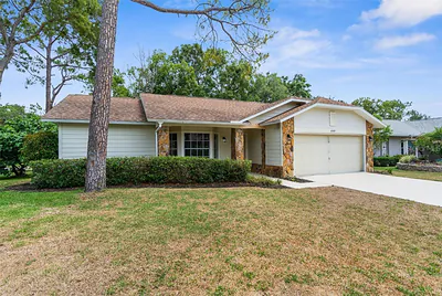 6509 PINE MEADOWS DRIVE Spring Hill FL