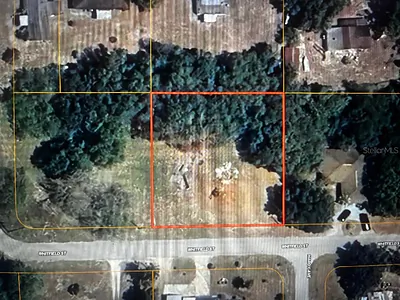 WHITFIELD STREET Mulberry FL