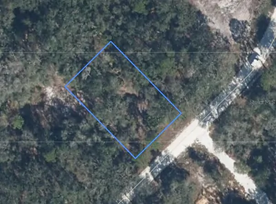 852 VIOLET DRIVE Lake Placid FL