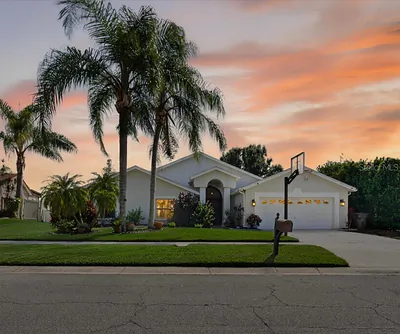 3238 CULLENDALE DRIVE Tampa FL