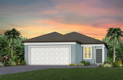 9131 NEWMONS PLACE Wildwood FL