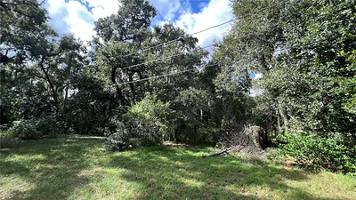 0 RIFLE RANGE RD Winter Haven FL