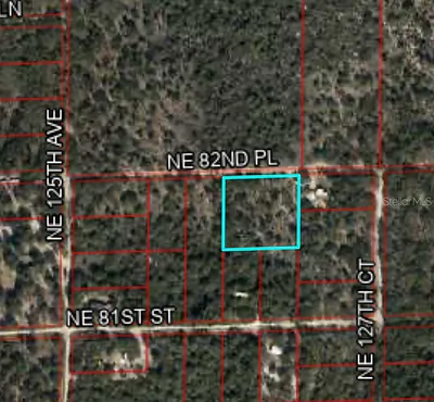 12790 NE 82ND PL Bronson FL