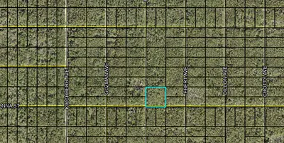 FRED AVENUE Hastings FL