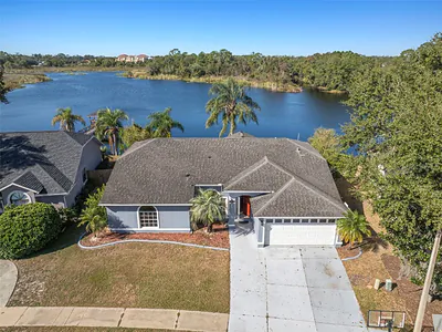2229 FOGGY RIDGE PARKWAY Land O Lakes FL