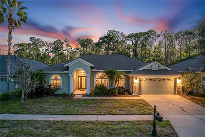 14639 CORAL BERRY DRIVE Tampa FL