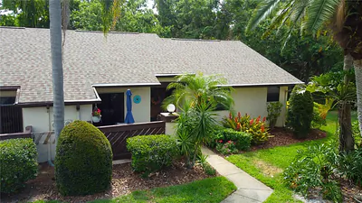 2913 FIG COURT Palm Harbor FL