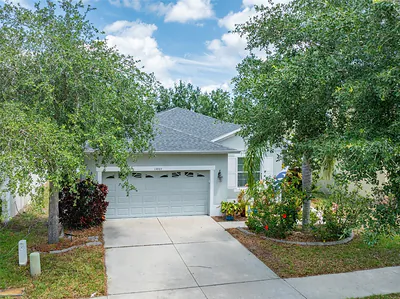 13803 CHALK HILL PL Riverview FL