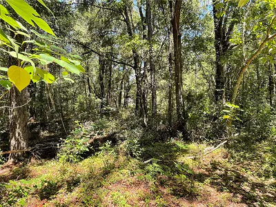Lot 30 SW 31ST PLACE Ocala FL