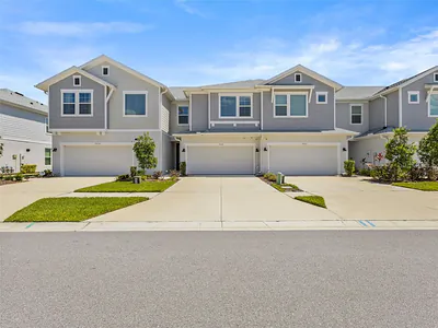 17228 BALANCE COVE Land O Lakes FL
