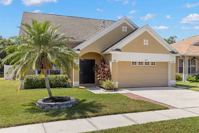 6619 SUMMER COVE DRIVE Riverview FL
