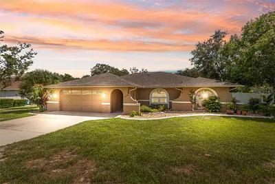 14008 N BRUNI DRIVE Spring Hill FL
