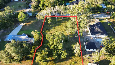 1407 WHITAKER ROAD Lutz FL